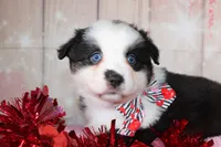 processed/1a0c54f3-cf9e-45c9-ad72-b18cdc9a7753/listing/c285535c-ab1b-42a4-9de0-0d19588ed63b/480f557a-5f78-4a6b-9e92-57d7b93fabca