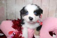 processed/1a0c54f3-cf9e-45c9-ad72-b18cdc9a7753/listing/c285535c-ab1b-42a4-9de0-0d19588ed63b/b5cc516b-bbd7-40ff-b22b-bd5449cf5c1c