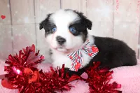 processed/1a0c54f3-cf9e-45c9-ad72-b18cdc9a7753/listing/c285535c-ab1b-42a4-9de0-0d19588ed63b/c94f4403-2bb0-4875-b8ad-2c5c1792ca08