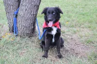 processed/1a0c54f3-cf9e-45c9-ad72-b18cdc9a7753/listing/cfd2f606-374d-4c80-bb49-c3d19013ab29/001030bd-48fb-4334-8703-7477a84757cd