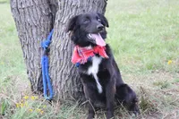 processed/1a0c54f3-cf9e-45c9-ad72-b18cdc9a7753/listing/cfd2f606-374d-4c80-bb49-c3d19013ab29/0ca857ee-a16c-44ce-a9e0-441c48c5f38d