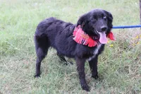 processed/1a0c54f3-cf9e-45c9-ad72-b18cdc9a7753/listing/cfd2f606-374d-4c80-bb49-c3d19013ab29/0d6eed18-2474-4a78-b222-5dc1a4b384a5