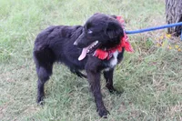 processed/1a0c54f3-cf9e-45c9-ad72-b18cdc9a7753/listing/cfd2f606-374d-4c80-bb49-c3d19013ab29/15f2694e-cb2d-41e5-a388-23afd39abdfa