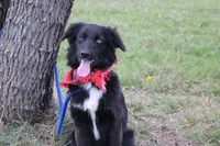 processed/1a0c54f3-cf9e-45c9-ad72-b18cdc9a7753/listing/cfd2f606-374d-4c80-bb49-c3d19013ab29/2e6f0247-bf3e-448b-ad9e-28e4f4b68b4b