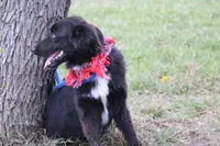 processed/1a0c54f3-cf9e-45c9-ad72-b18cdc9a7753/listing/cfd2f606-374d-4c80-bb49-c3d19013ab29/45802268-0908-4ac9-b4e7-3cc7afc20506