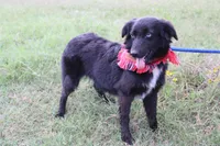 processed/1a0c54f3-cf9e-45c9-ad72-b18cdc9a7753/listing/cfd2f606-374d-4c80-bb49-c3d19013ab29/67a2d694-d8cf-4fb5-84a5-c12c0f8787dc