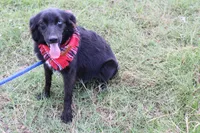 processed/1a0c54f3-cf9e-45c9-ad72-b18cdc9a7753/listing/cfd2f606-374d-4c80-bb49-c3d19013ab29/8fe64b4e-edea-4a47-98f3-6d17e1710469