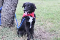 processed/1a0c54f3-cf9e-45c9-ad72-b18cdc9a7753/listing/cfd2f606-374d-4c80-bb49-c3d19013ab29/ec1523a1-c9d2-48c8-bc0f-f997a5b73047