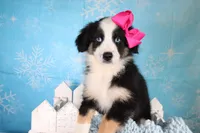 processed/1a0c54f3-cf9e-45c9-ad72-b18cdc9a7753/listing/d398a967-3119-45a6-b21e-78ffc5cbcd4f/1c7f4157-d753-4e7f-9ac7-e7904ee6f9a5