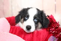 processed/1a0c54f3-cf9e-45c9-ad72-b18cdc9a7753/listing/d398a967-3119-45a6-b21e-78ffc5cbcd4f/252ad5fd-36d4-4c95-88db-05ff9951edaa