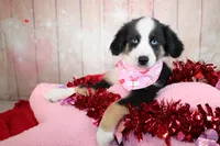 processed/1a0c54f3-cf9e-45c9-ad72-b18cdc9a7753/listing/d398a967-3119-45a6-b21e-78ffc5cbcd4f/4ebdaa62-a1fe-4822-9c4b-25ba25480fa8