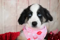 processed/1a0c54f3-cf9e-45c9-ad72-b18cdc9a7753/listing/d398a967-3119-45a6-b21e-78ffc5cbcd4f/6cb1ccd5-b89b-4204-ba1b-51bc90fa4c1f