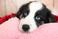 processed/1a0c54f3-cf9e-45c9-ad72-b18cdc9a7753/listing/d398a967-3119-45a6-b21e-78ffc5cbcd4f/72b1e38b-9749-40f9-886a-7c642ddf9cb7