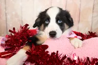 processed/1a0c54f3-cf9e-45c9-ad72-b18cdc9a7753/listing/d398a967-3119-45a6-b21e-78ffc5cbcd4f/75723d0f-09fa-4613-970d-4df2b43c01b0