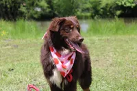 processed/1a0c54f3-cf9e-45c9-ad72-b18cdc9a7753/listing/dc304807-c6fe-4cca-8352-611a9af2952a/2eb4743b-fbbb-4bf5-8ab0-8e07ec3dbc0f