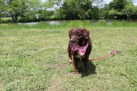 processed/1a0c54f3-cf9e-45c9-ad72-b18cdc9a7753/listing/dc304807-c6fe-4cca-8352-611a9af2952a/3efb1443-a727-4cb1-a08d-fbf348ac5642