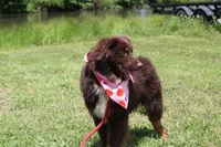 processed/1a0c54f3-cf9e-45c9-ad72-b18cdc9a7753/listing/dc304807-c6fe-4cca-8352-611a9af2952a/5bc111d8-1c3f-443d-8bcb-d7fbd00f767f