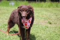 processed/1a0c54f3-cf9e-45c9-ad72-b18cdc9a7753/listing/dc304807-c6fe-4cca-8352-611a9af2952a/78f4a85b-c354-47c9-be44-cbd2c53d93a2