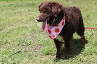 processed/1a0c54f3-cf9e-45c9-ad72-b18cdc9a7753/listing/dc304807-c6fe-4cca-8352-611a9af2952a/b684cc36-5ea8-438e-93a8-8a78263a9ec9