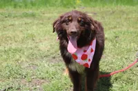 processed/1a0c54f3-cf9e-45c9-ad72-b18cdc9a7753/listing/dc304807-c6fe-4cca-8352-611a9af2952a/bbeb0385-cbf6-4f93-b17b-f7c9ae9680bf