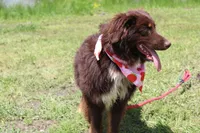 processed/1a0c54f3-cf9e-45c9-ad72-b18cdc9a7753/listing/dc304807-c6fe-4cca-8352-611a9af2952a/ef7c2f27-f91c-4c6e-bcd7-687ffe06a104