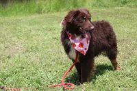 processed/1a0c54f3-cf9e-45c9-ad72-b18cdc9a7753/listing/dc304807-c6fe-4cca-8352-611a9af2952a/ffbaa298-50f6-4bac-81f6-05d5f0e03d8b