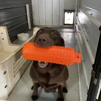 processed/1a1b408a-ebc7-4322-91ac-3be4af0facc6/facility/31f4776a-0848-4d5e-a4eb-26756960a43d