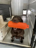 processed/1a1b408a-ebc7-4322-91ac-3be4af0facc6/facility/31f4776a-0848-4d5e-a4eb-26756960a43d