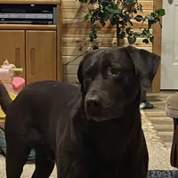 processed/1a1b408a-ebc7-4322-91ac-3be4af0facc6/facility/46695519-83f2-446d-a4cd-88ecf2fc7673