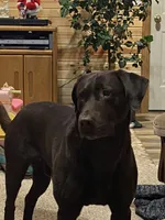 processed/1a1b408a-ebc7-4322-91ac-3be4af0facc6/facility/46695519-83f2-446d-a4cd-88ecf2fc7673