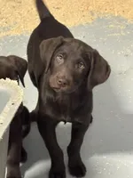 processed/1a1b408a-ebc7-4322-91ac-3be4af0facc6/listing/6318cce5-8a61-4b14-adde-6b7bfd172f68/590270d3-3c9f-4317-a5fa-d9612daf5520