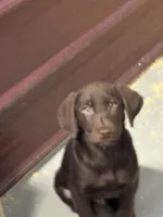 processed/1a1b408a-ebc7-4322-91ac-3be4af0facc6/listing/6318cce5-8a61-4b14-adde-6b7bfd172f68/ed820c2a-c786-4e3d-8db4-e31a16739c20