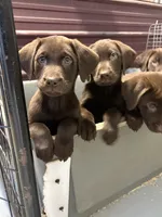 processed/1a1b408a-ebc7-4322-91ac-3be4af0facc6/listing/97c09704-352d-4ddc-ad58-fc0a9f4506b4/b6f8c7be-f340-49b5-a48b-902167e4ca3f