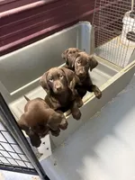 processed/1a1b408a-ebc7-4322-91ac-3be4af0facc6/listing/97c09704-352d-4ddc-ad58-fc0a9f4506b4/b8921e96-541a-492b-b694-6a5cad4c67d0