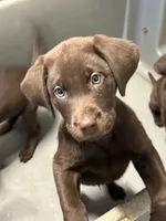 processed/1a1b408a-ebc7-4322-91ac-3be4af0facc6/listing/97c09704-352d-4ddc-ad58-fc0a9f4506b4/d6bfdd7b-c662-4d78-acbc-e6968b4fad27