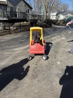 Leo, a male Labrador Retriever for sale in Glencoe, MN – Photo 2 of 3