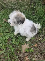 processed/1a20af9c-0d95-4c5d-b41c-7f18225a1799/listing/185b4017-8ce8-4462-b1c5-a6ba9cd49634/1505adcf-4b91-42dd-8651-4bd95c8d0802