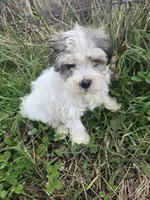 processed/1a20af9c-0d95-4c5d-b41c-7f18225a1799/listing/185b4017-8ce8-4462-b1c5-a6ba9cd49634/6462db18-7236-4a0a-9a91-050093c20929