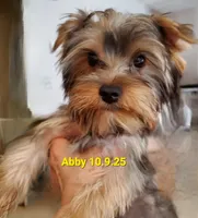 processed/1a2abfba-83cc-45c9-824c-3fcf2cab7f91/listing/18fe4df3-6e33-497b-85e7-66d05497a748/0eeae291-f0a7-4d6a-8132-2f1b9ffb8921