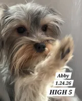 processed/1a2abfba-83cc-45c9-824c-3fcf2cab7f91/listing/18fe4df3-6e33-497b-85e7-66d05497a748/399cead0-ad0a-48df-ba1d-3b37d0f7010f