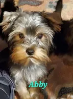 processed/1a2abfba-83cc-45c9-824c-3fcf2cab7f91/listing/18fe4df3-6e33-497b-85e7-66d05497a748/4757a67e-17d0-484a-8e67-a5b72ae38970