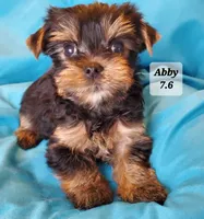 processed/1a2abfba-83cc-45c9-824c-3fcf2cab7f91/listing/18fe4df3-6e33-497b-85e7-66d05497a748/4c8c4d87-f9f0-4c91-a4af-f2de8cdd1ac5