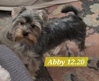 processed/1a2abfba-83cc-45c9-824c-3fcf2cab7f91/listing/18fe4df3-6e33-497b-85e7-66d05497a748/70001208-1e11-4441-9c9c-d483bc433da1