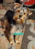 processed/1a2abfba-83cc-45c9-824c-3fcf2cab7f91/listing/d9fb863b-fda2-48b4-aafb-11708951b682/47fc44b7-196a-4a6c-a1c6-5b7ad28842b8