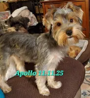 processed/1a2abfba-83cc-45c9-824c-3fcf2cab7f91/listing/d9fb863b-fda2-48b4-aafb-11708951b682/8c0a6703-7d94-4f23-b694-6bd4ee0436d4