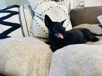 processed/1a3afd98-8be1-4e46-94cf-58296cd1c8e9/listing/21d5ac90-28da-455b-a9d0-8e8ac97337c7/3598815e-ecd3-4797-8b3e-980e6e0cf951