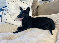 processed/1a3afd98-8be1-4e46-94cf-58296cd1c8e9/listing/21d5ac90-28da-455b-a9d0-8e8ac97337c7/71c26e84-44e3-42c8-a86e-61bdafa72bbc