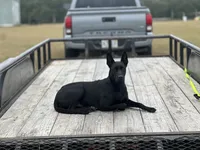 processed/1a3afd98-8be1-4e46-94cf-58296cd1c8e9/listing/21d5ac90-28da-455b-a9d0-8e8ac97337c7/893ca218-75c6-45aa-a847-e9a9ece00a09