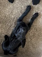 processed/1a3afd98-8be1-4e46-94cf-58296cd1c8e9/listing/21d5ac90-28da-455b-a9d0-8e8ac97337c7/bc574ba7-117f-47ef-b611-42d47d642609