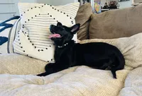 processed/1a3afd98-8be1-4e46-94cf-58296cd1c8e9/listing/21d5ac90-28da-455b-a9d0-8e8ac97337c7/cce4882a-091c-4798-a64f-d09b28892e65